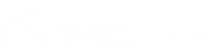 Logo-MIC-Solutions-01v-ws-test